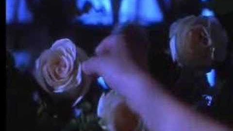 Practical Magic - This Kiss