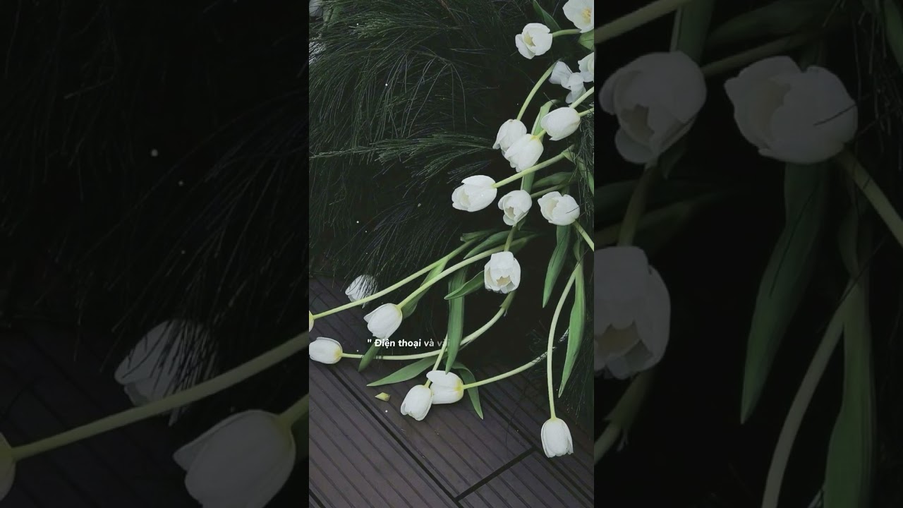 Cuộc sống hiện tại của tôi #nhachaymoingay #tamtrang #shorts