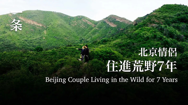 【EngSub】Beijing couple living in the wild for 7 years 北京情侣住进荒野7年，租下30亩地自耕自食 - 天天要闻