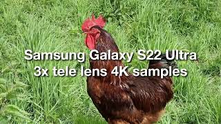Samsung Galaxy S22 Ultra: 3x Tele Lens 4K Video Samples