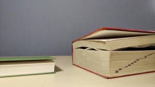 Podewitz Lockdown-Productions präsentiert: Bücher Im Gespräch