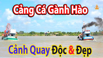 Cảnh Tuyệt Đẹp Có 1 Không 2 | khi 2 ghe Quay Đầu Tranh Nhau Vào Cảng Gành Hào Cân Cá (P4)