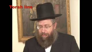 Thumbnail of the video “Torah Line - Torah Line with R'Fischel schachter”