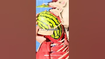 Điều gì xảy ra nếu bạn cố nuốt cả một quả dưa hấu?🤯