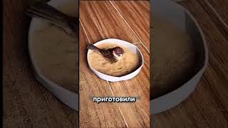🔥ДОБРЫЕ Люди СПАСЛИ Воробья! 🐦