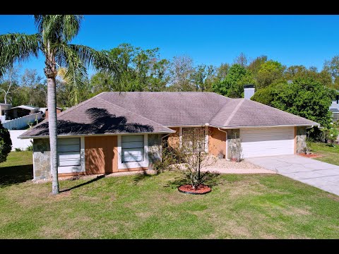 17010 Aspen Meadows Dr, Lutz, FL home video tour