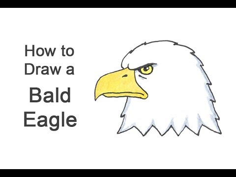 cartoon eagle drawing