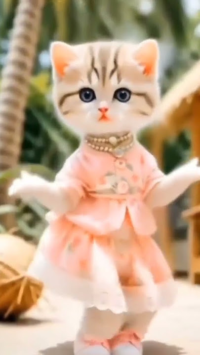 Cat Dance on song 90 90 Dil Torr Di #cat #cats #catdance #catlover
