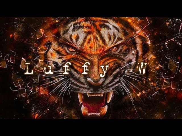 Survivor - Eye of the Tiger (JNL remix)