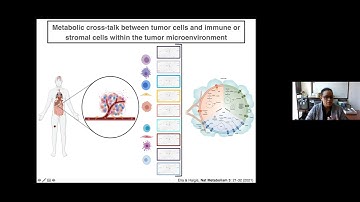 Day 2: Composition, Communication and Function of the Tumor Microenvironment