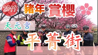 20190208  新春走春騎單車賞櫻｜天元宮x平菁街