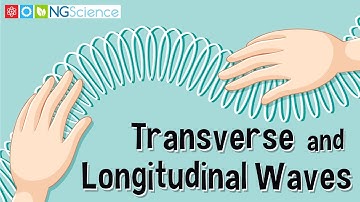 Transverse and Longitudinal Waves