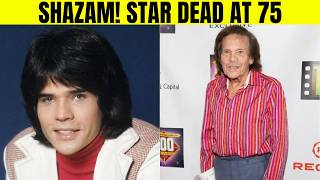 Shazam! Star Michael Gray Dies at 75 After Leaving Hollywood