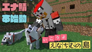 【エナ鯖マイクラ】柴エナのマイクラサーバー稼働！
