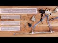 Getting started with Pneumatics - the Basics