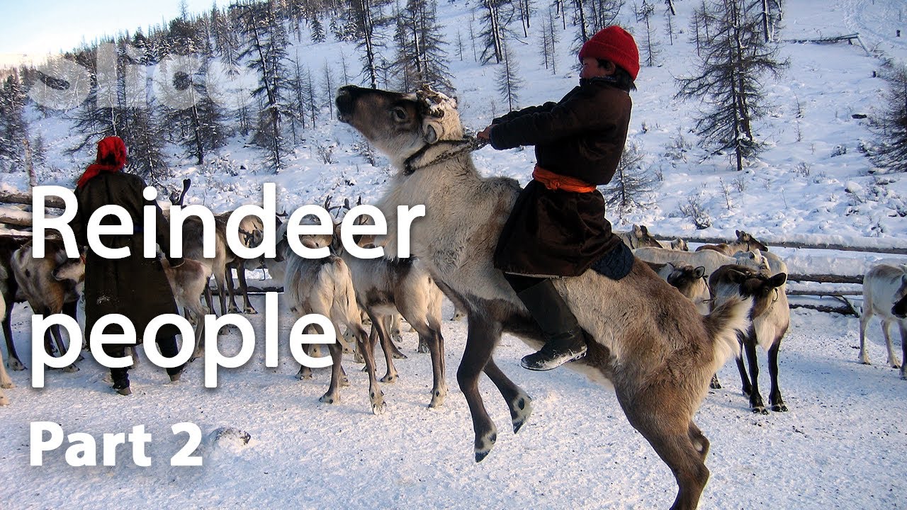 Documentary backdrop image for The simple life of the Dukha reindeer nomads I Slice (2021)