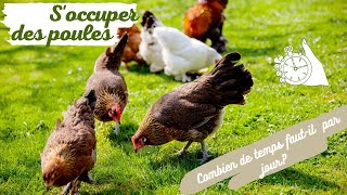 S'occuper des Poules : Combien de Temps par Jour Faut-il ? 🐔 Poules Au Jardin