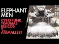 TRAUMAS FURROS!!! ELEPHANTMEN!!!! #comics #imagecomics #ladronn #elephantmen #hipflask