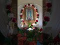 #ourladyofguadalupe #fe #virgendeguadalupe #avemaria #virgenmaria #oração #frbyron @CelineDion