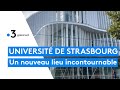 Universit de strasbourg  le studium nouveau lieu incontournable des tudiants