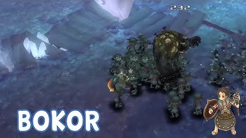 Bokor Class [EN] (Tree of Savior)