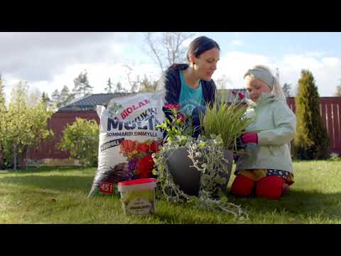 Video: Teepuutarhojen kasveista huolehtiminen – vinkkejä teekasvien kasvattamiseen kotona