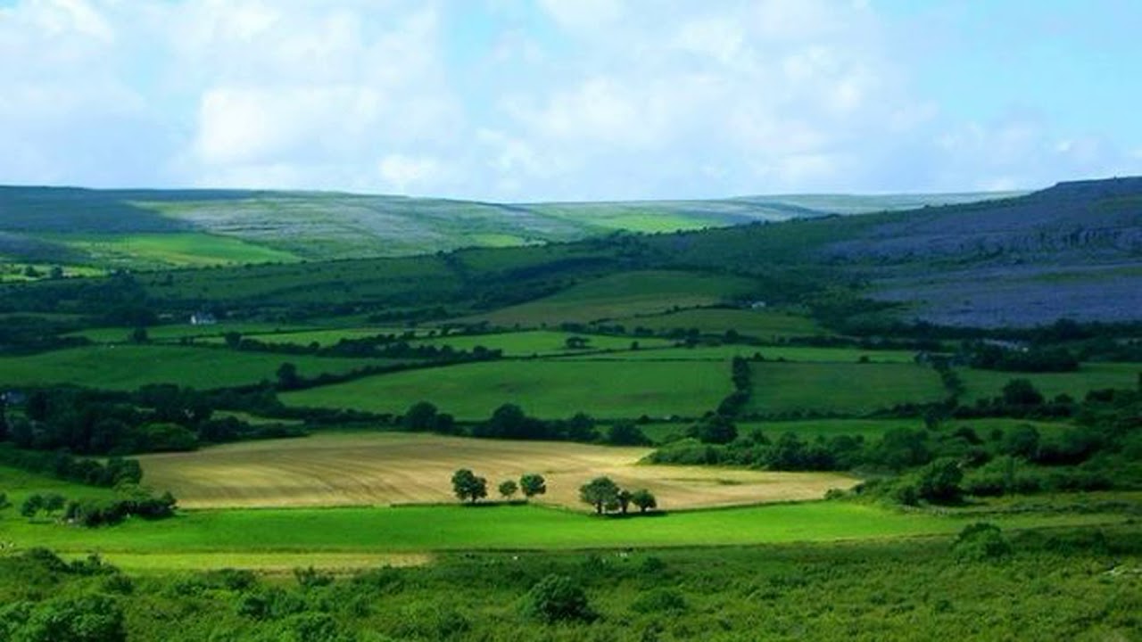The countryside is beautiful. Irish countryside. Countryside фото. Irish Barryroe field. The Northern Irish countryside.