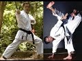 Shotokan Kihon