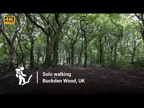 [4k] Walk through Buckden Wood Rossendale