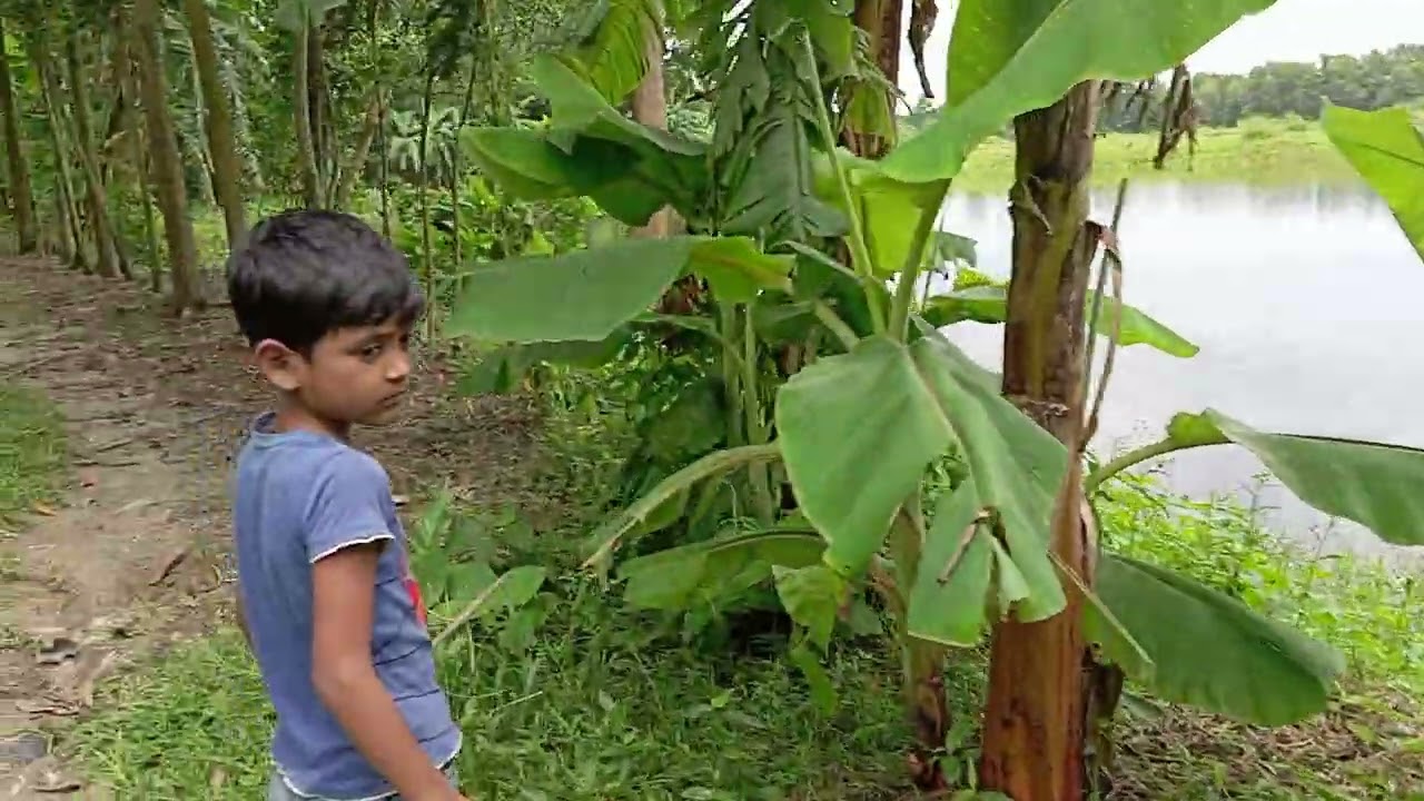 #গ্রামের সুন্দর প্রাকৃতিক দৃশ্য #vairalvideo#river