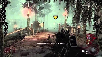 Black Ops Zombies Shi No Numa HD(part 2) For-Jareddawg27