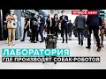 Лаборатория где производят собак-роботов | Прямую трансляцию - Москва 24