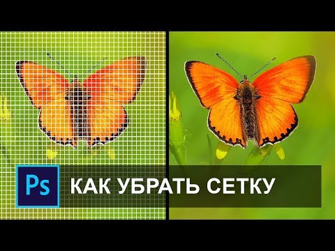 Как отключить пиксельную сетку в фотошопе