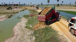 Update!Construction Road widening10MX100MBy Small Dump Truck Delivery Soil And Dozer Push the ground