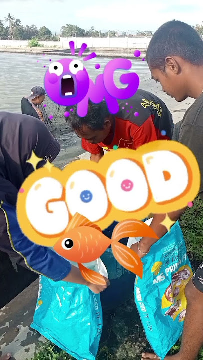 #klik #salah #viralvideo