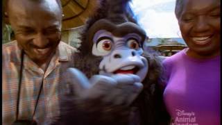 Walt Disney World 2002 Vacation Planning  Postfamily Edition