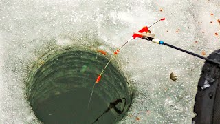 видео: КАК ОСТАНОВИТЬСЯ!? КОГДА ТАК КЛЮЁТ ЛЕЩ НА БЕЗМОТЫЛКУ картинка: КАК ОСТАНОВИТЬСЯ!? КОГДА ТАК КЛЮЁТ ЛЕЩ НА БЕЗМОТЫЛКУ