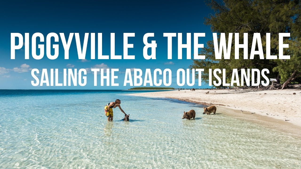 Piggyville & The Whale - Sailing the Abaco Out Islands