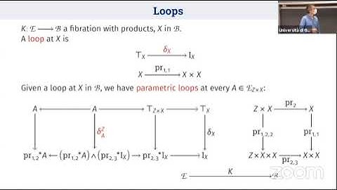 Emmenegger - A 2-comonad for elementary fibrations