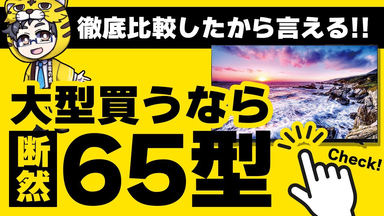 液晶テレビ】各メーカー比較したら65型と55型でかなりの差が【置ける
