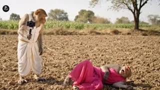 Monkey Vs Pinky Vlog Video -S -I