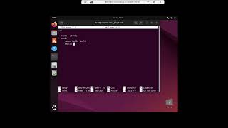 Details Ansible  Hello World  playbook News