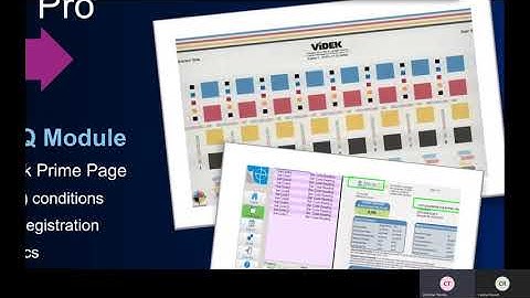 Videk Vision Case Study InkjetSummit 2020