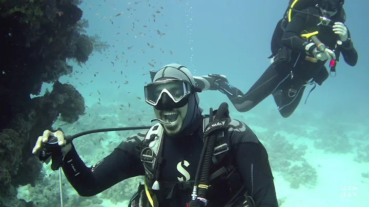 Diving in Hurghada - November 2021