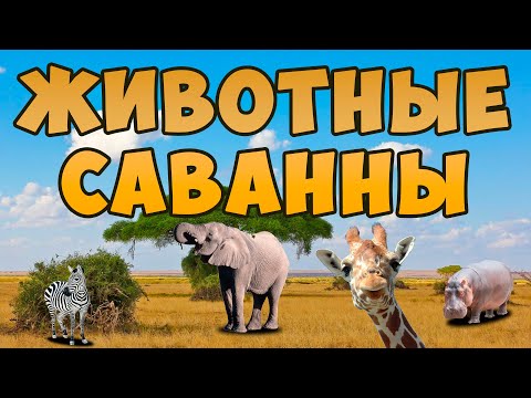 Животные саванны для детей - развивающее видео для самых маленьких, карточки Домана школы разыития