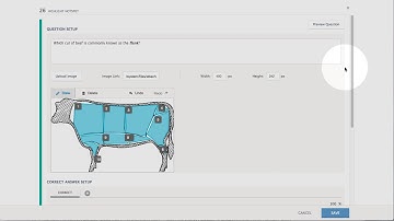 Highlight Hotspot Question Setup