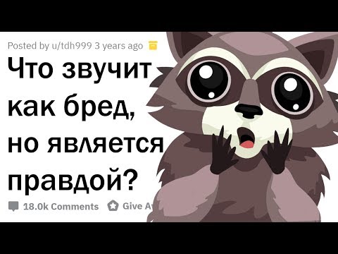 РЕАЛЬНЫЕ ФАКТЫ, КОТОРЫЕ ЗВУЧАТ КАК ЛОЖЬ