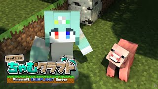 【 ちる / Minecraft 】　🔰しょしん🔰　ちゃむくらふと！　ぽいぽい　ずっとせいち　なんにもしない　おさんぽ　まいくら　【 ぽいふる★ぽみゅぅ！/ CHUM PLANET  】