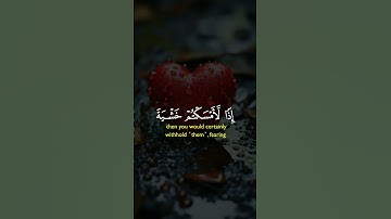 قران كريم تلاوه خاشعه ارح قلبك