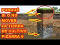 LA TIERRA DE CULTIVO DEBEMOS MOVERLA❓❓❓ QUÉ SUCEDE CUANDO LE MOVEMOS DE MÁS❓❓❓ PIZARRA 6